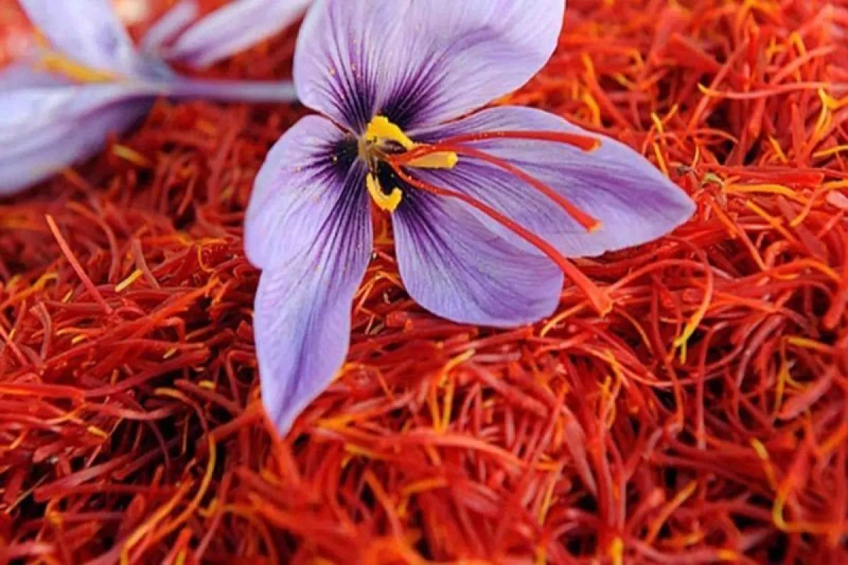 به گزارش