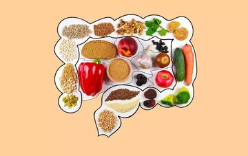 تأثیر رژیم غذایی پرچرب بر سیستم ایمنی روده و راهکارهای محافظت از آن