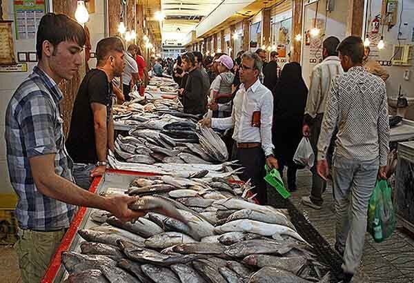 بازار پروتئین شیراز