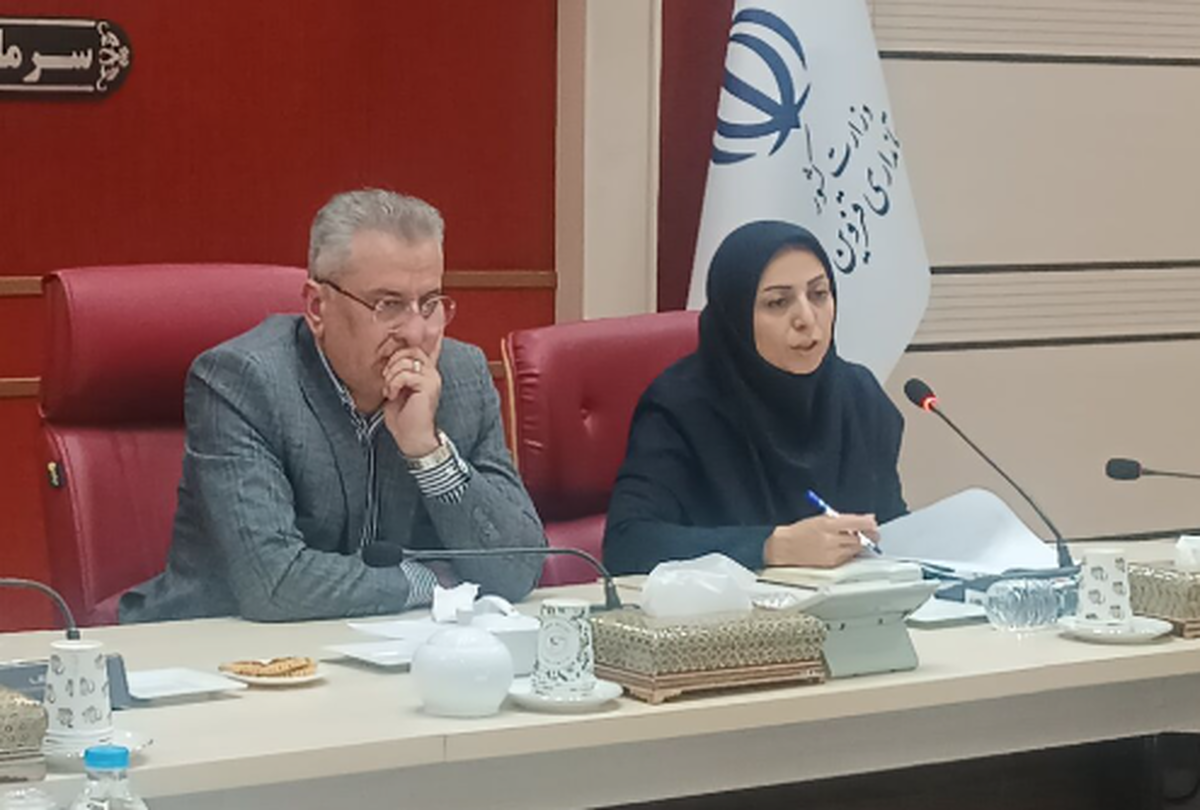 اعلام تقویم هفته پارالمپیک و تربیت بدنی قزوین؛ ثبت بیمه ۳۲ هزار ورزشکار زن در رده دوم کشور