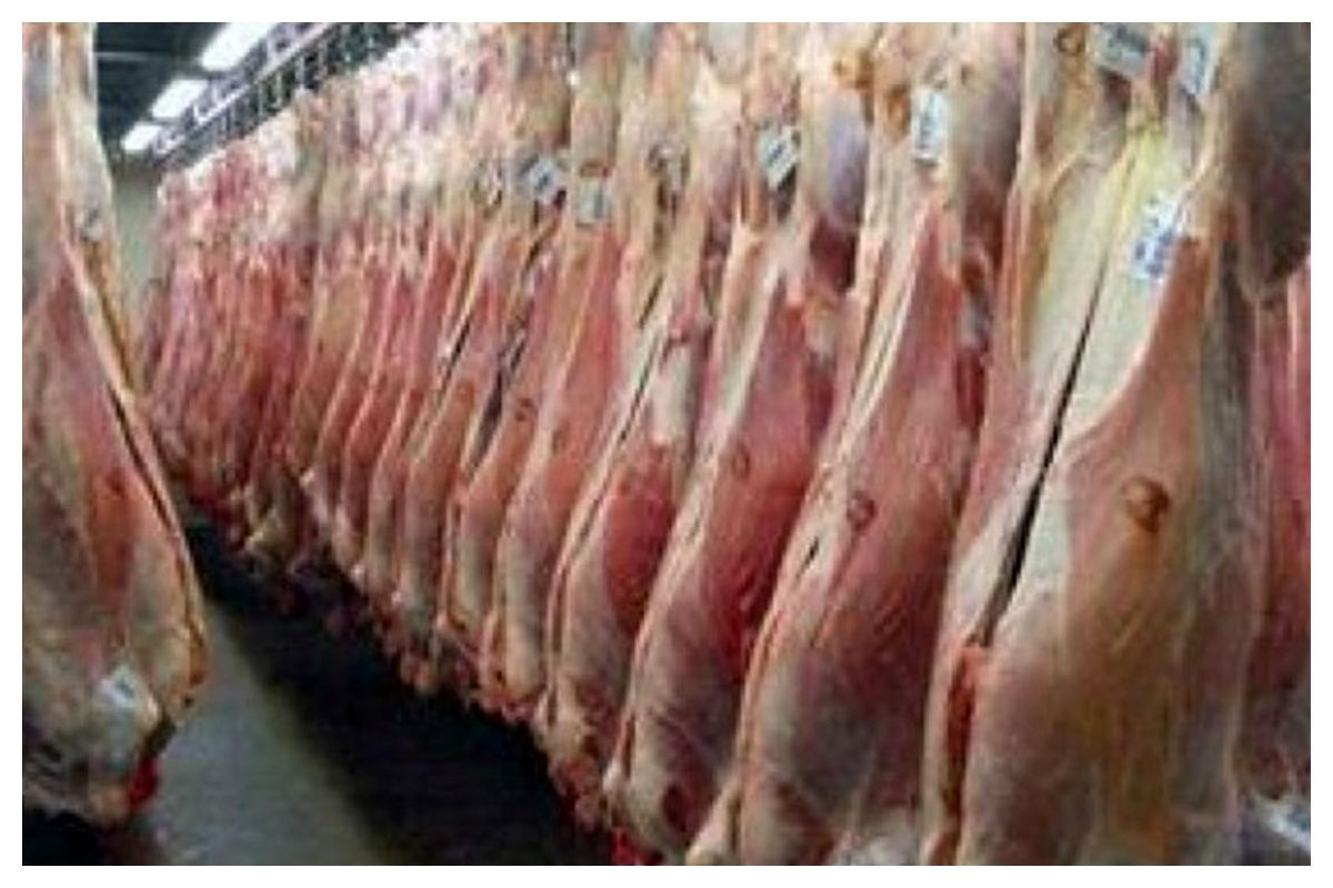 توزیع روزانه ۲۰۰ تن گوشت وارداتی با ارز مبادلهای برای تنظیم بازار