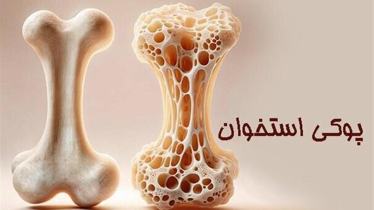 تأثیر حیاتی میان‌وعده‌های سالم بر تمرکز و رشد ذهنی دانش‌آموزان