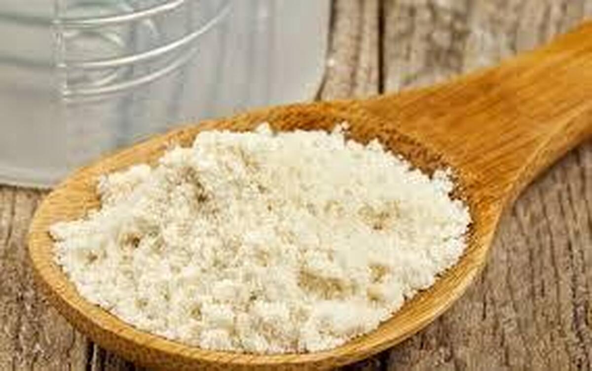 کلستروم گاوی؛ مکمل طبیعی برای تقویت ایمنی ورزشکاران استقامتی