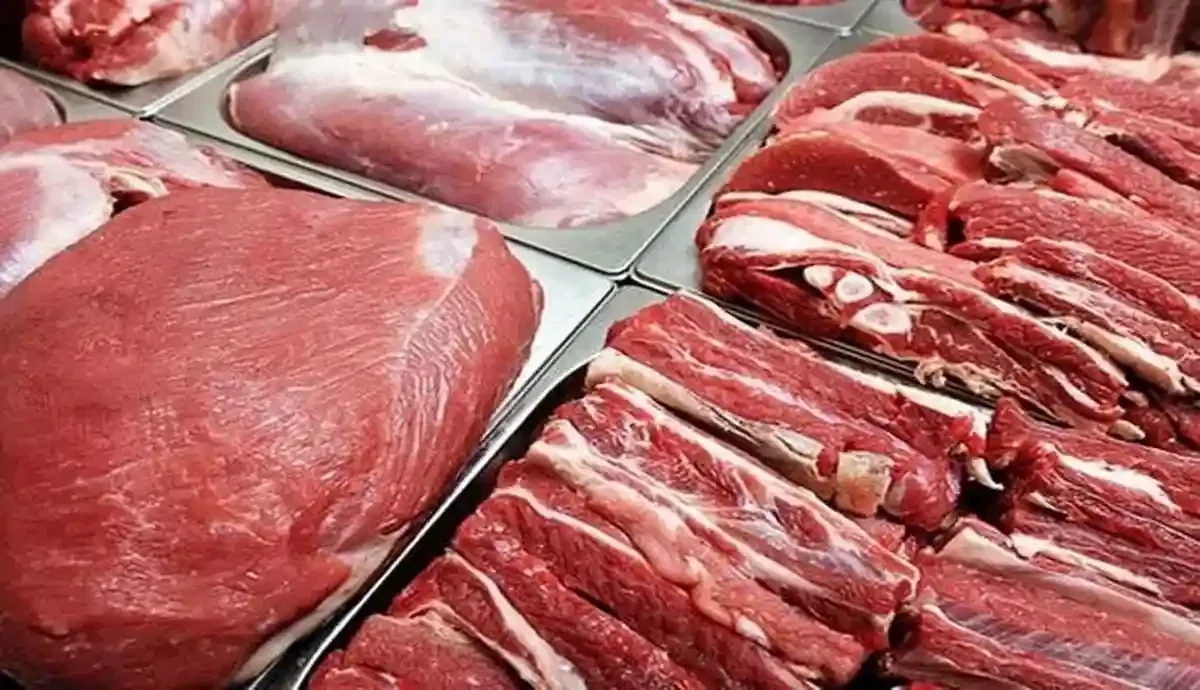جزئیات واردات گوشت و قیمت‌های جدید در بازار؛ کاهش التهاب با عرضه روزانه ۳۰۰ تن