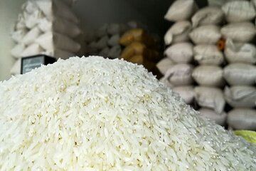 اعلام نرخ مصوب برنج هندی و پاکستانی توسط وزارت جهاد کشاورزی