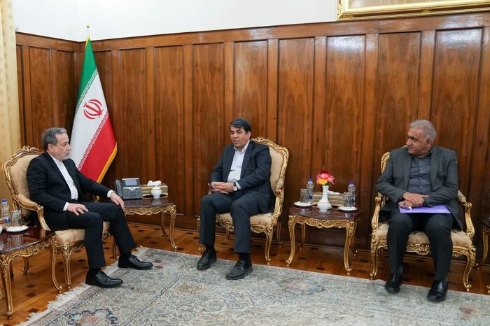 دیدار استاندار کرمان با وزیر امور خارجه