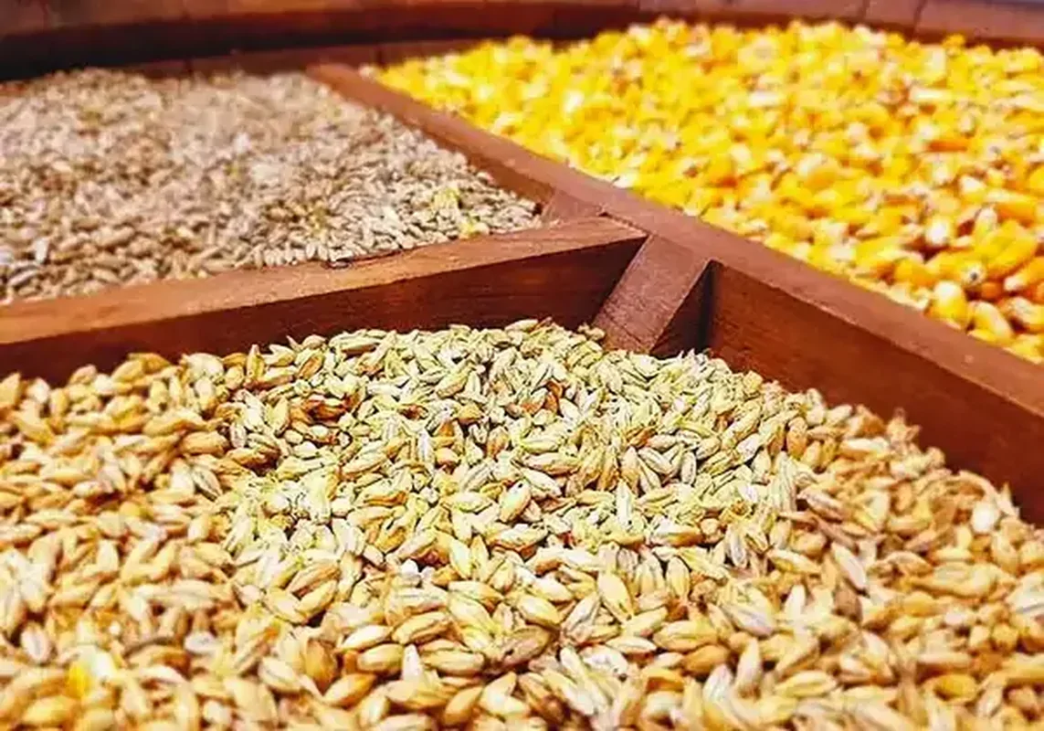 خرید نهاده با ارز ۸۰ هزار تومانی؛ هشدار کاهش تولید و گرانی مرغ و تخم‌مرغ