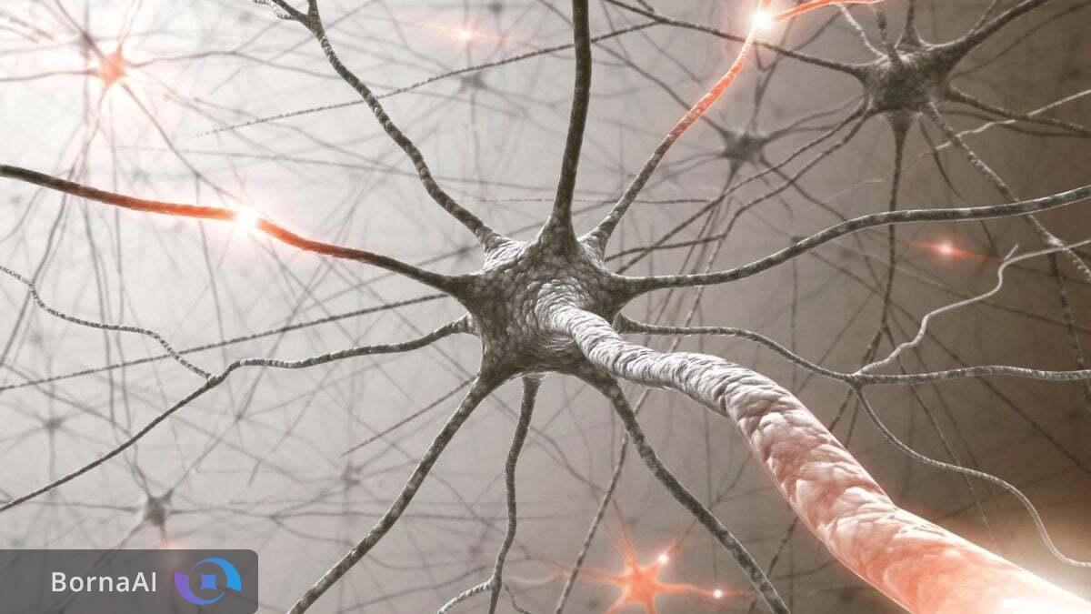 ارتباط التهاب روده و آلزایمر: شواهد جدید از پیوند سلامت روده و مغز