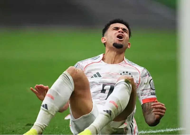 لوئیس دیاز