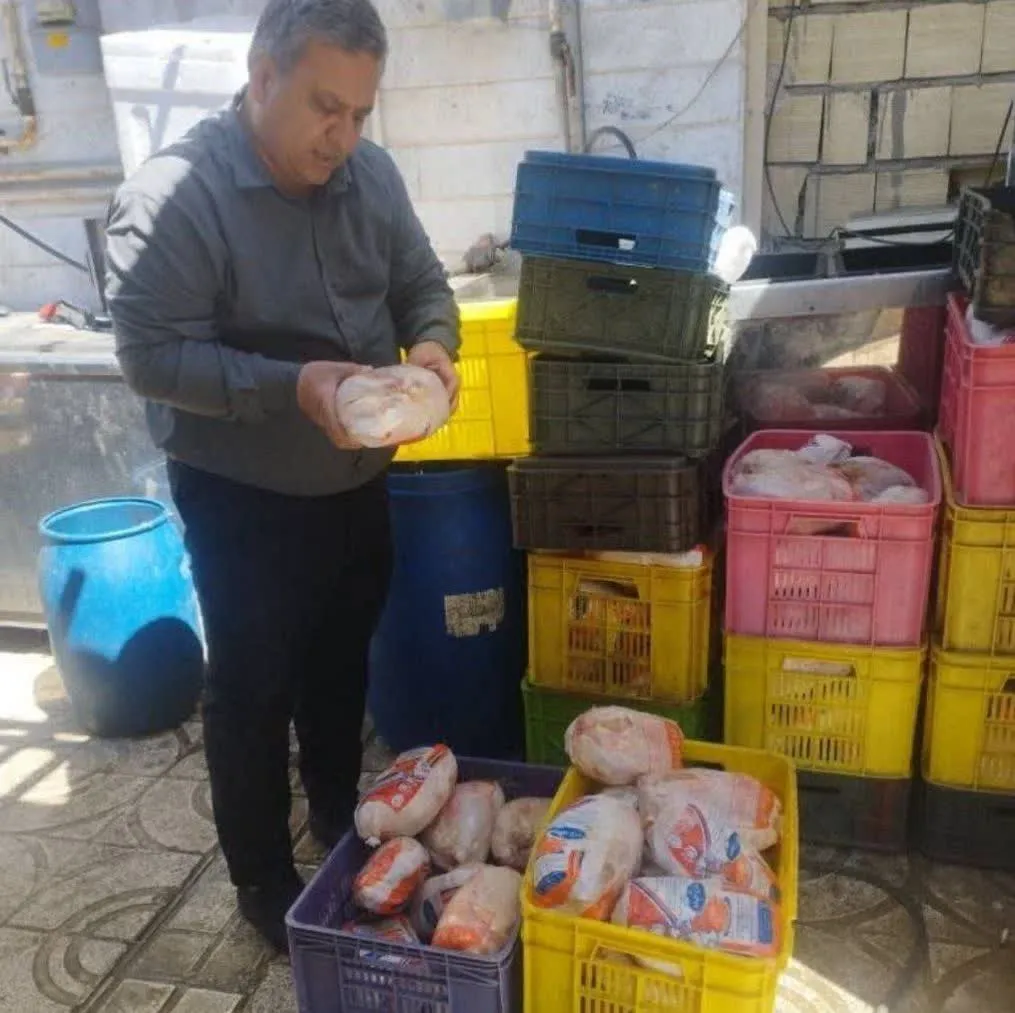 کشف ۳۰۰ کیلوگرم گوشت مرغ تاریخگذشته در ساوجبلاغ