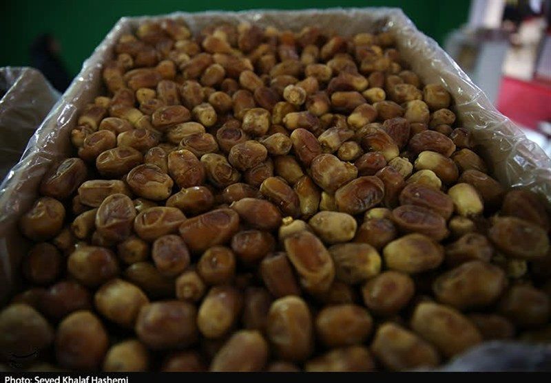 لغو ممنوعیت ۵۰ روزه صادرات خرما توسط وزارت جهاد کشاورزی