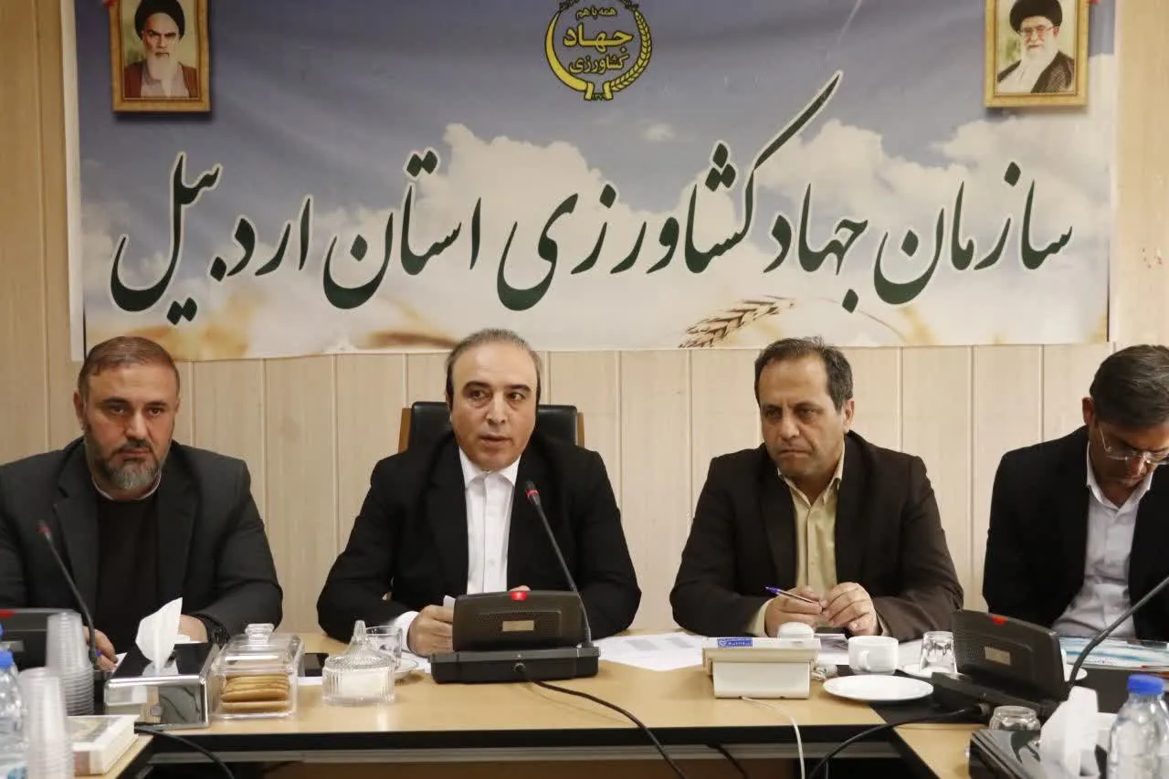 پیش‌بینی تولید ۵۳۰ هزار تن گندم در اردبیل و تدابیر خرید تضمینی