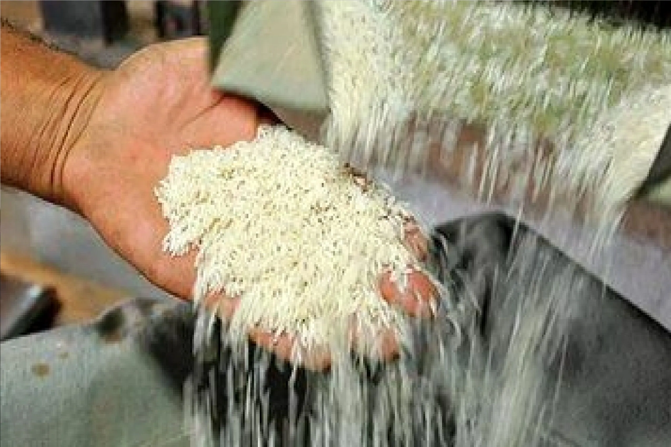 تکذیب قیمت ۷۰۰ هزار تومانی برنج و اعلام نرخ مصوب روغن و شکر