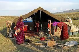 طرح ویژه صندوق بیمه اجتماعی البرز: بخشودگی جرایم و تخفیف ۴۵ درصدی برای روستاییان