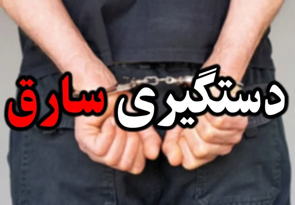 دستگیری سارقان «توپ‌زنی» طلا با ۱۱۰ میلیارد ریال ارزش در کرج