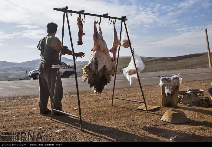 عرضه گوشت در کنار جاده‌ها