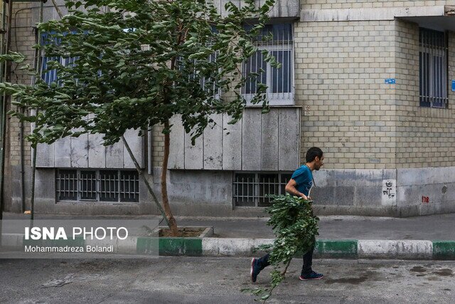 پیش‌بینی آب و هوای استان: باد شدید، گرد و خاک و رگبار تا اوایل هفته آینده