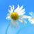 انتشار قطعه موسیقی بازی ۰۰۷ First Light با صدای لانا دل ری